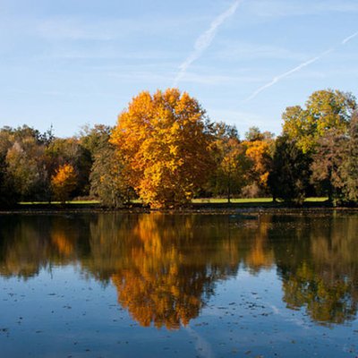 Domaine de Soucy