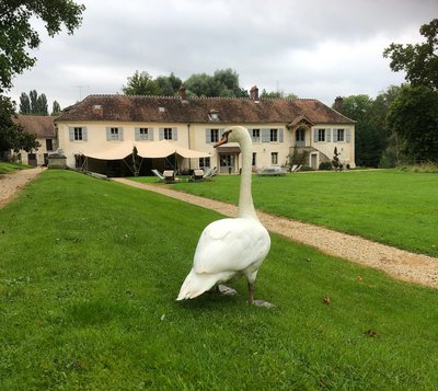 Domaine Le Plessis