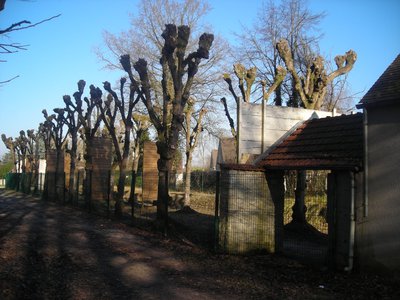 Jeu d'arc
