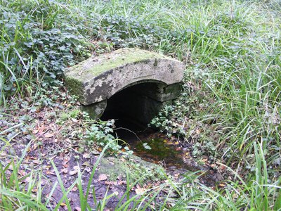 Fontaine des Lys