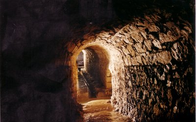 Le tunnel aquatique