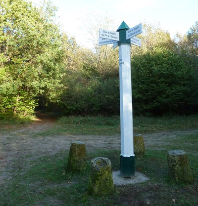 Poteau forestier