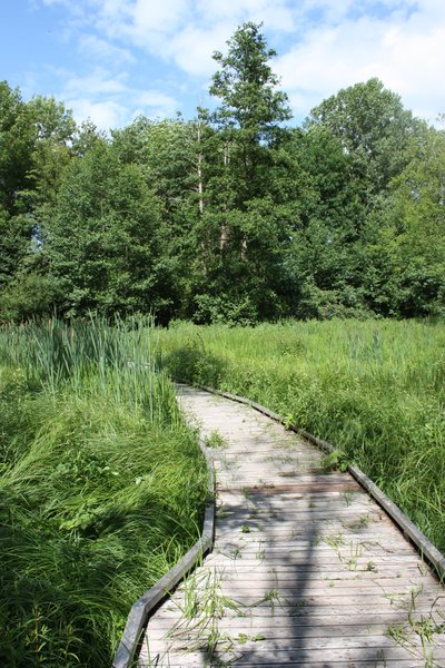 Marais de Boissy
