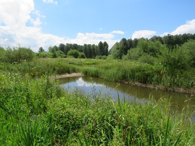 Marais de Frocourt