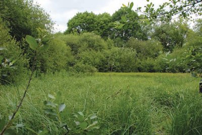 Prés d'Ardillières