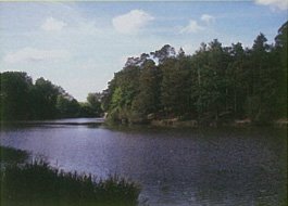 Etang de Coupe-Gorge