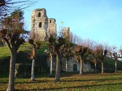 Le comté de Montfort