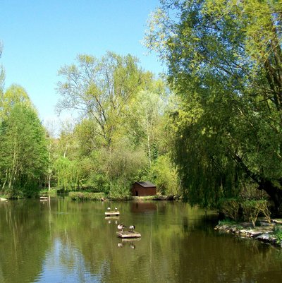 Senlis étang du parc écologique