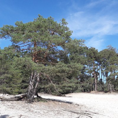 Butte aux gens d'armes