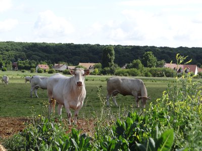 Ferme de La Grand'Maison