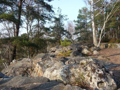 Massif Forestier de Rambouillet