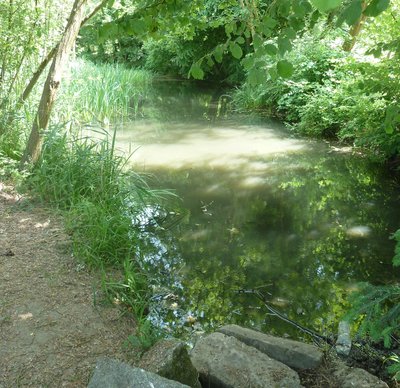 Etang du parc de Touteville