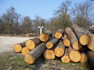 Travaux forestiers
