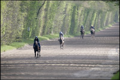 Piste des Lions 