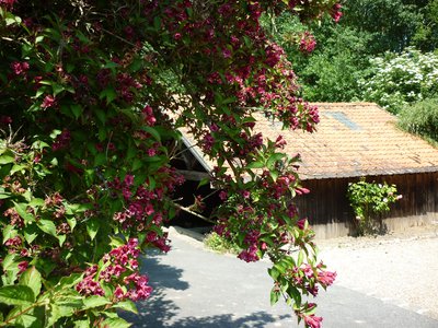 Lavoir de Lassy