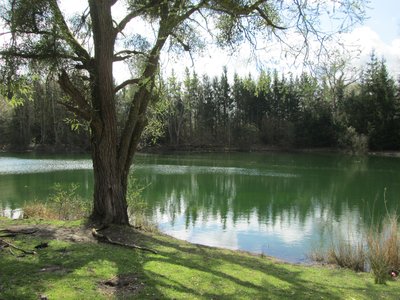 Etangs de Toutevoie