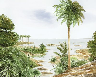 Mer tropicale du Trias