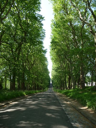 Allée de Franconville