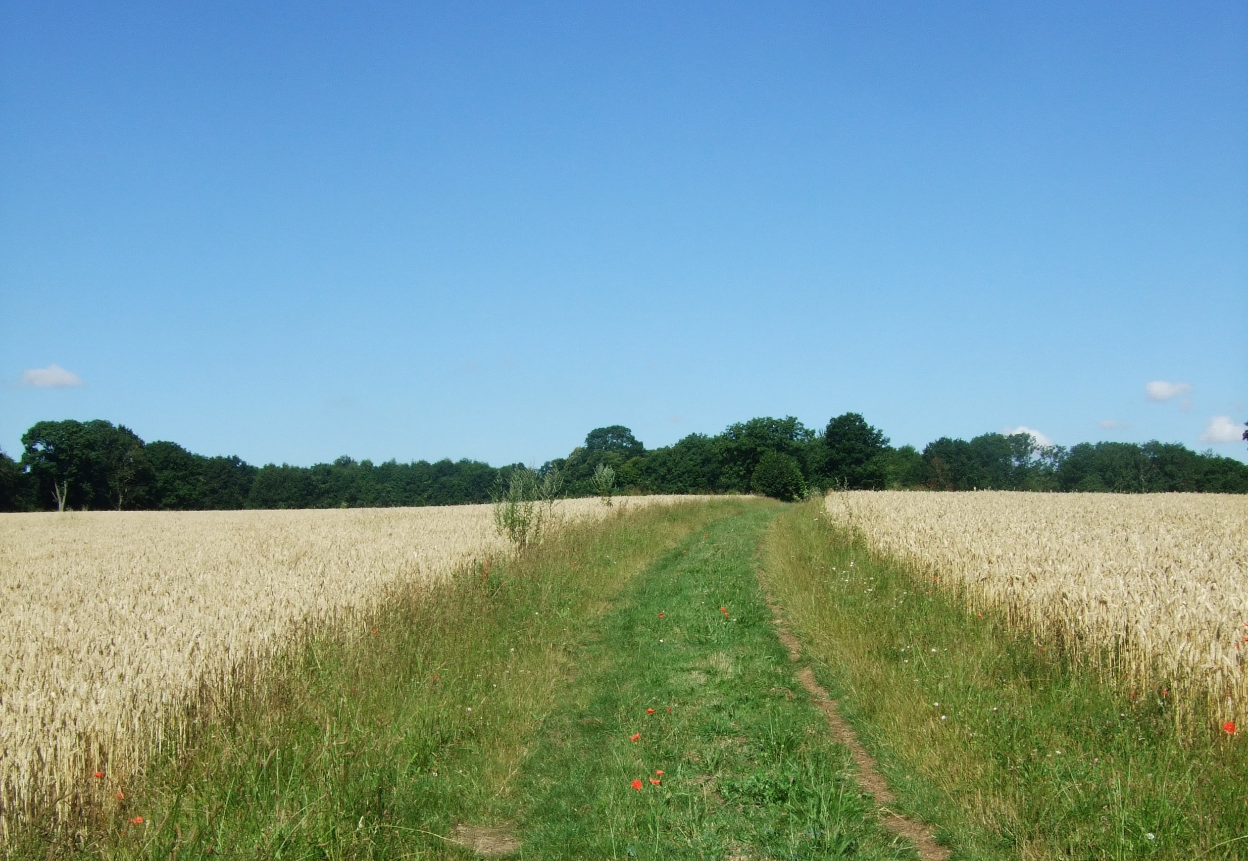 Paysages du Vexin