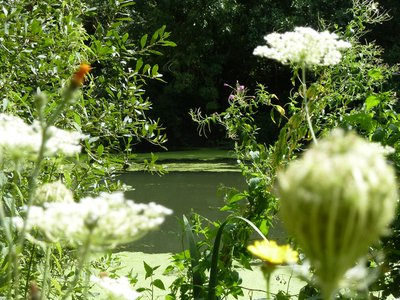 La Seine à Guernes