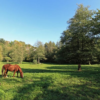 La trinité vu depuis le haras de la Geneste