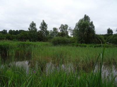 Marais de Frocourt