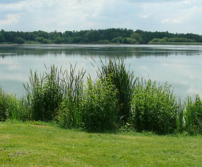 A la lisière entre ville et campagne
