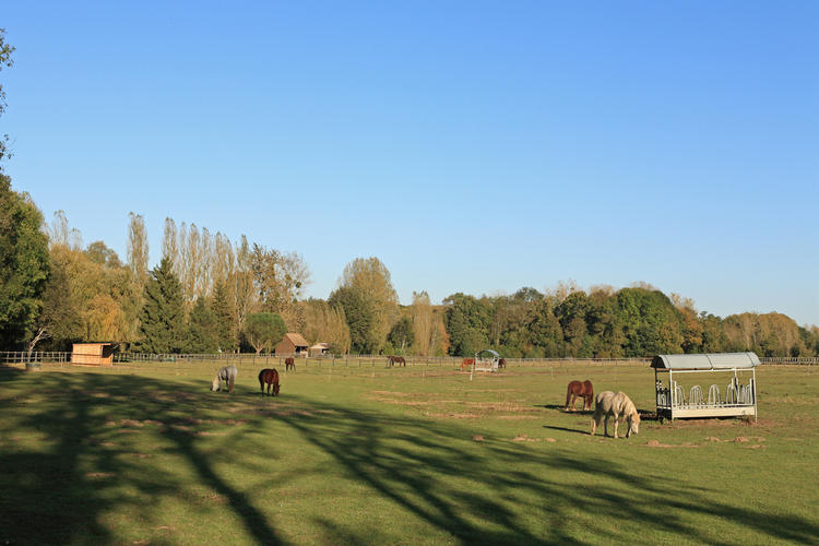 Les moulins de Saint-Arnoult