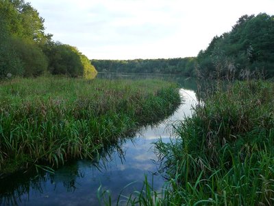 Les mille facettes d'Auffargis