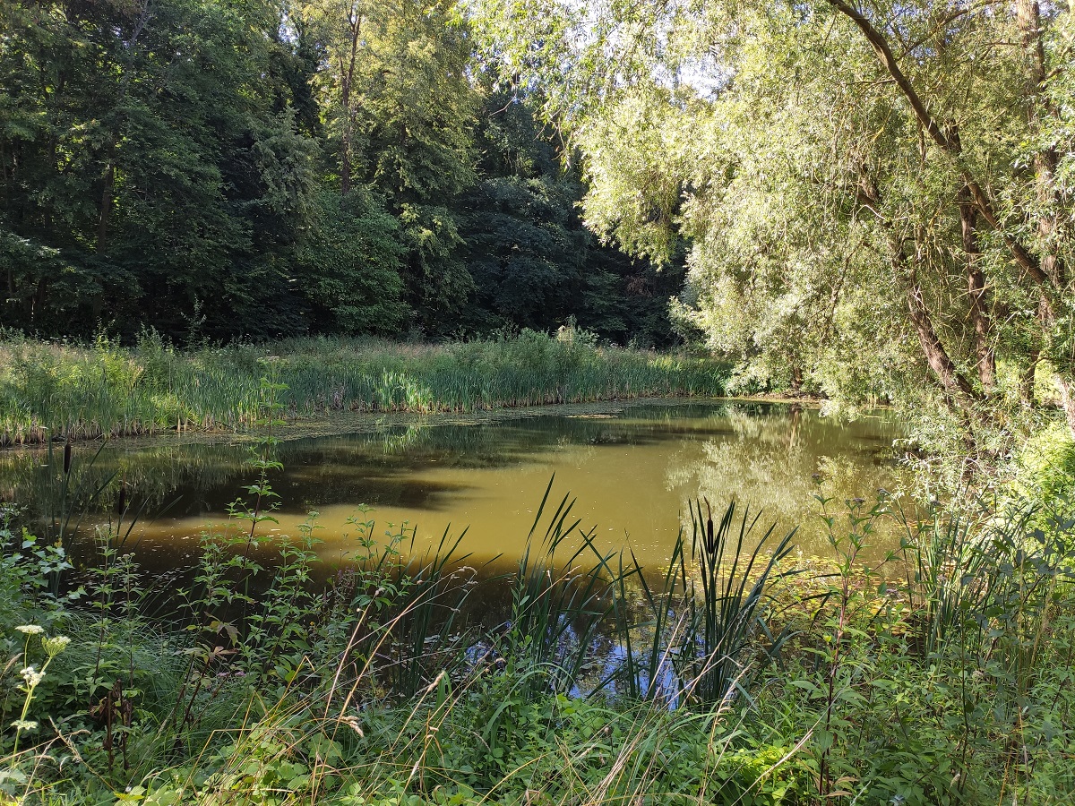 Sentier de la biodiversité