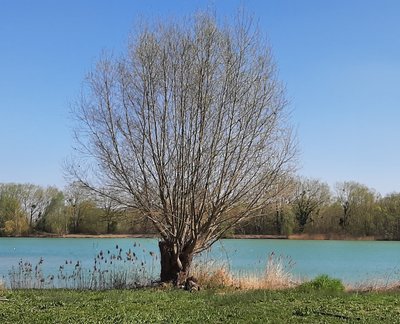 Etang Pontpoint