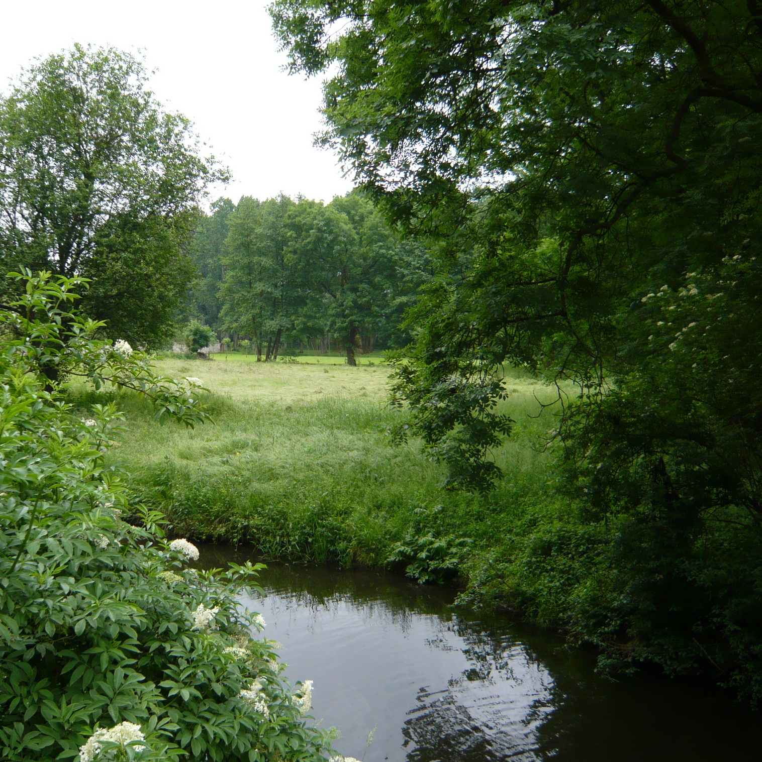 L'Ysieux