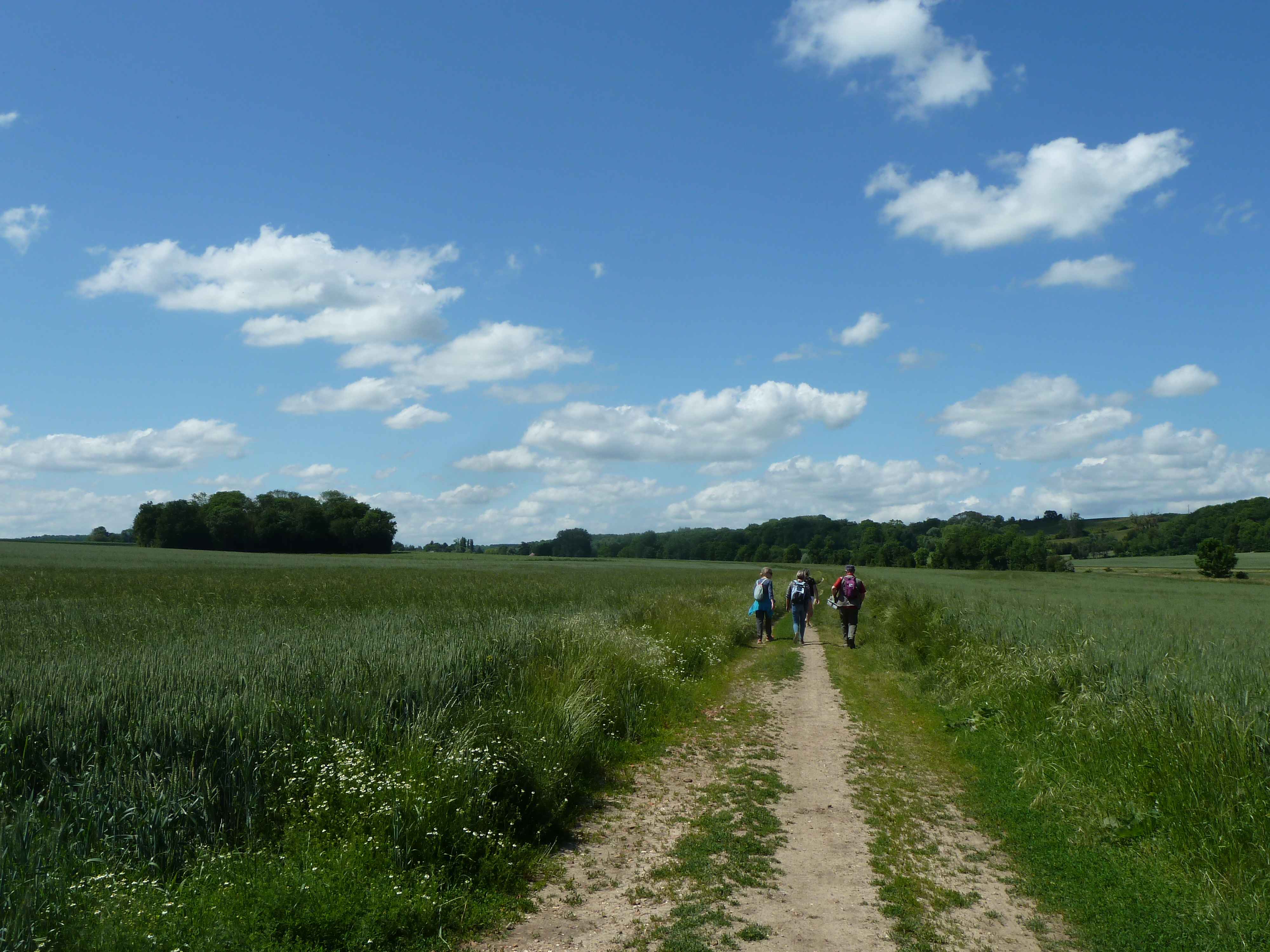 Entre Vigny et Théméricourt