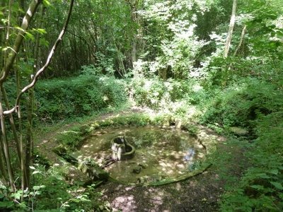 Le lavoir