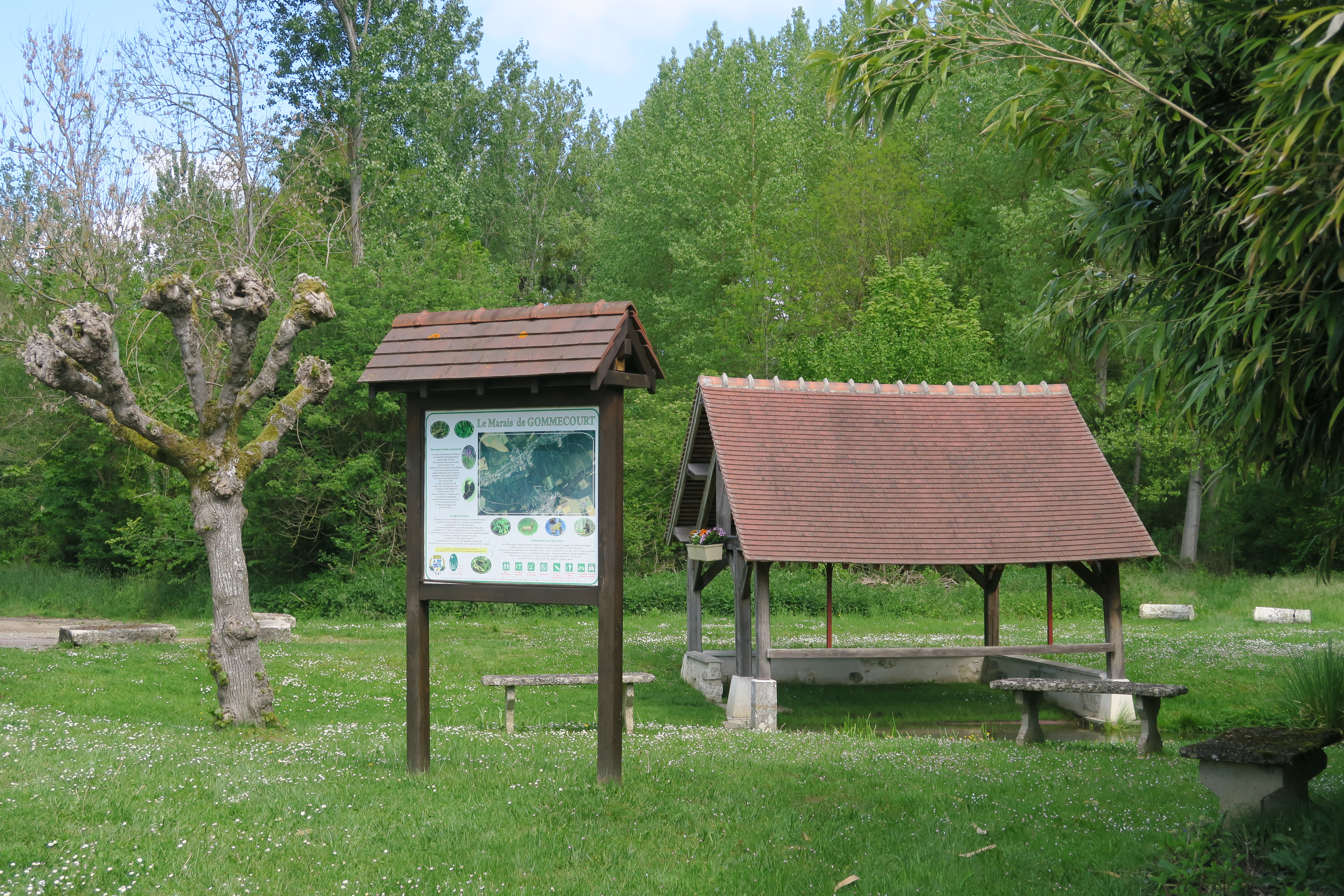 Le marais de Gommecourt
