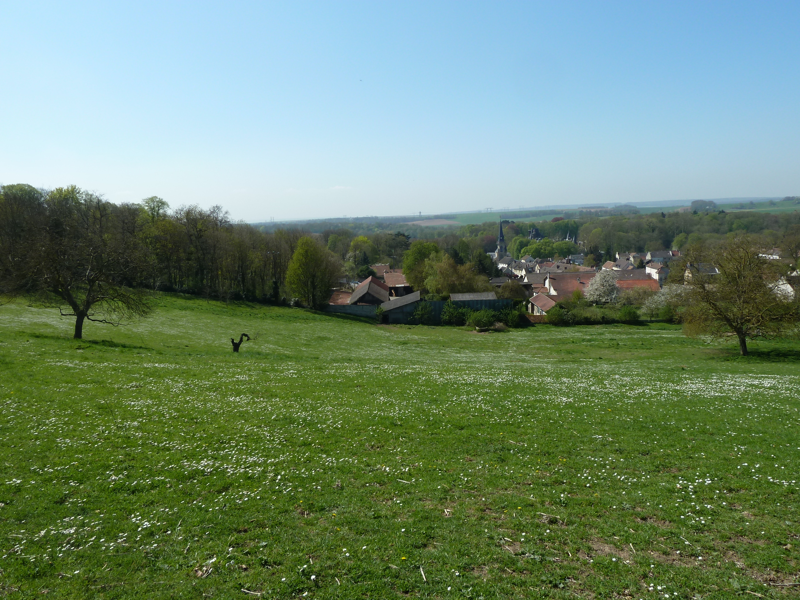 Vigny